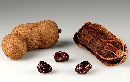 Tamarind Fruit